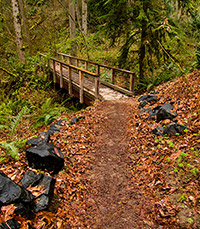 Trail with bridge